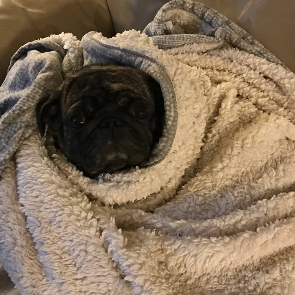 Meet your Posher, Emily